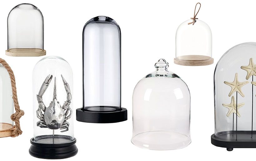 Cloches en verre: shopping