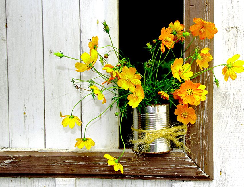 Fabriquer une petite jardinière pour plantes aromatiques dans la cuisine