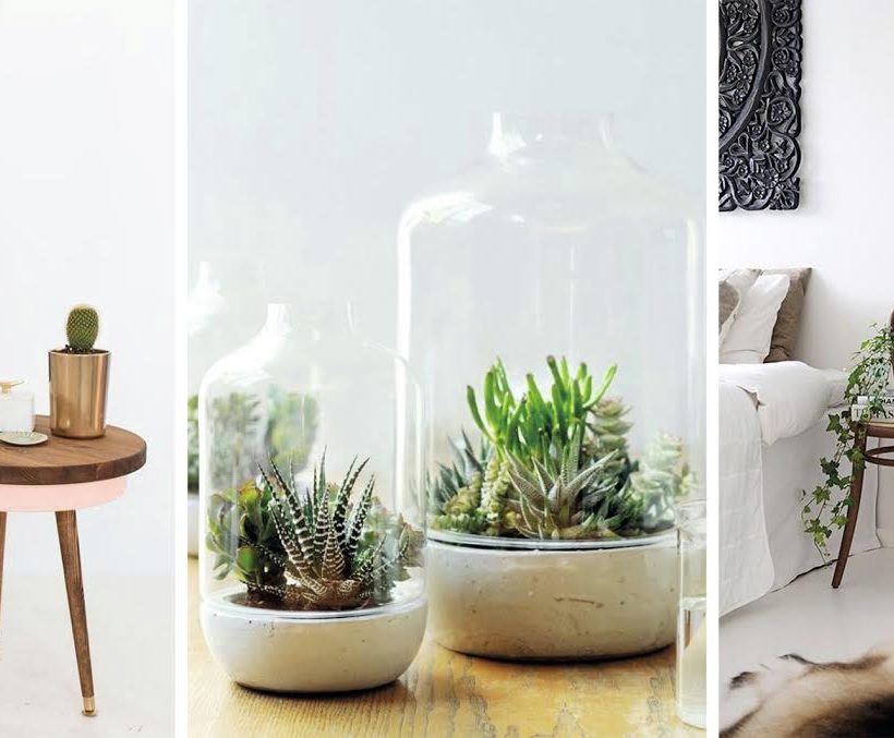 Ces plantes qui font la déco