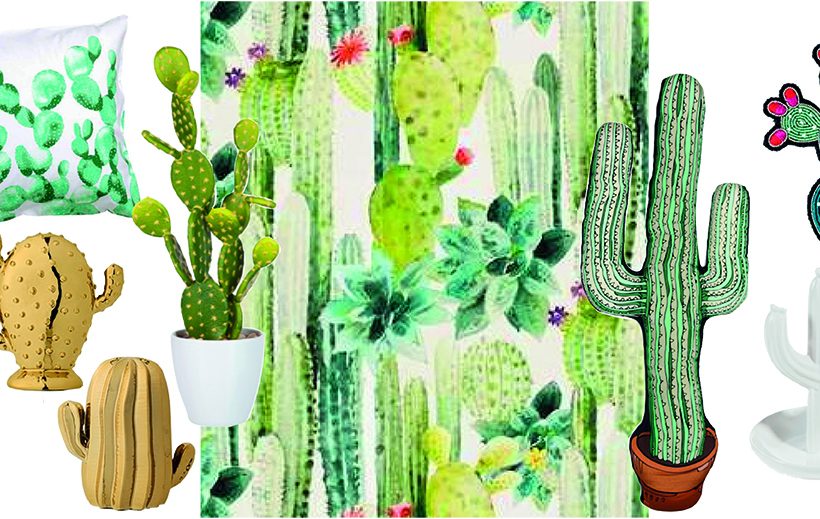 Shopping: ces cactus qui animent la déco