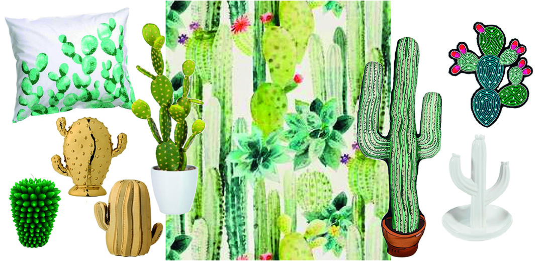 Shopping: ces cactus qui animent la déco