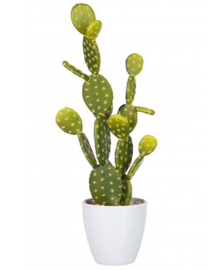 "Cactus fever", figuier de Barbarie en plastique (18,5 x &4 x 58 cm), J-Line. 44,90 euros.