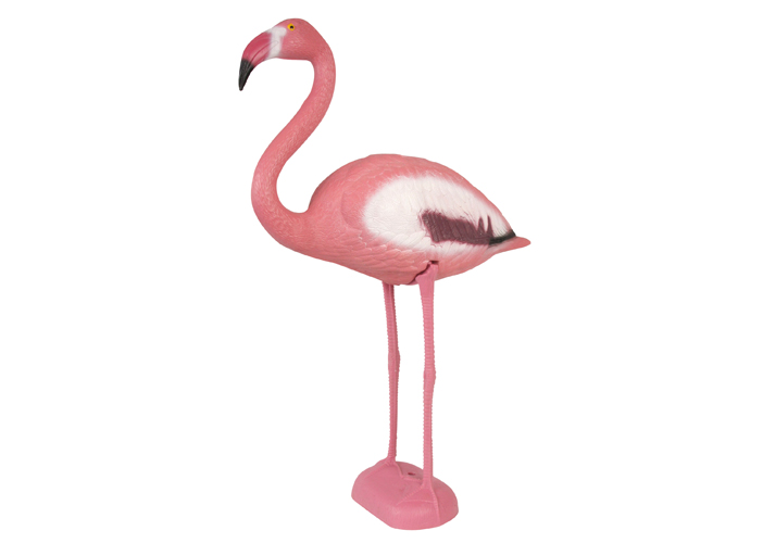 Flamant-rose-bensimon