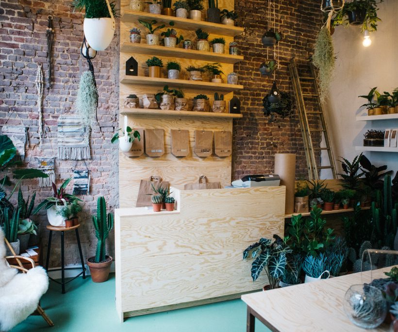 Agave, la boutique ode aux belles plantes