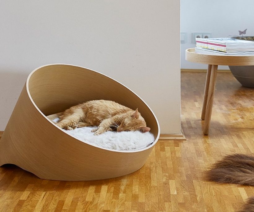 Journée du chat : 8 objets design pour le gâter