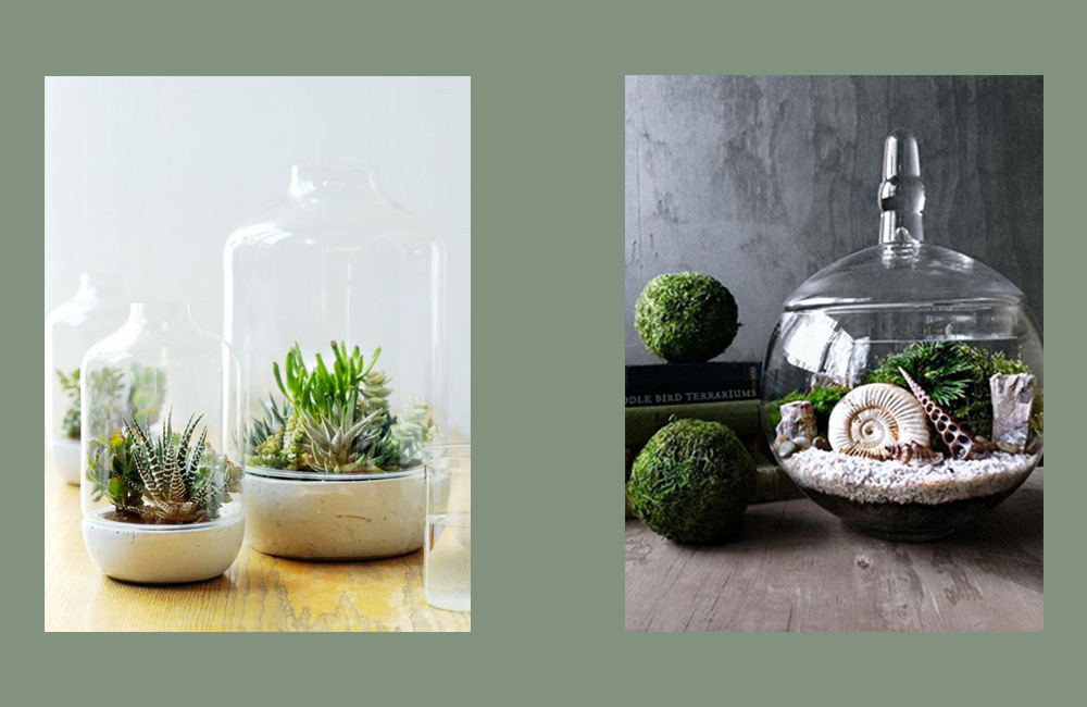 Pinterest: terrariums, la tendance verte