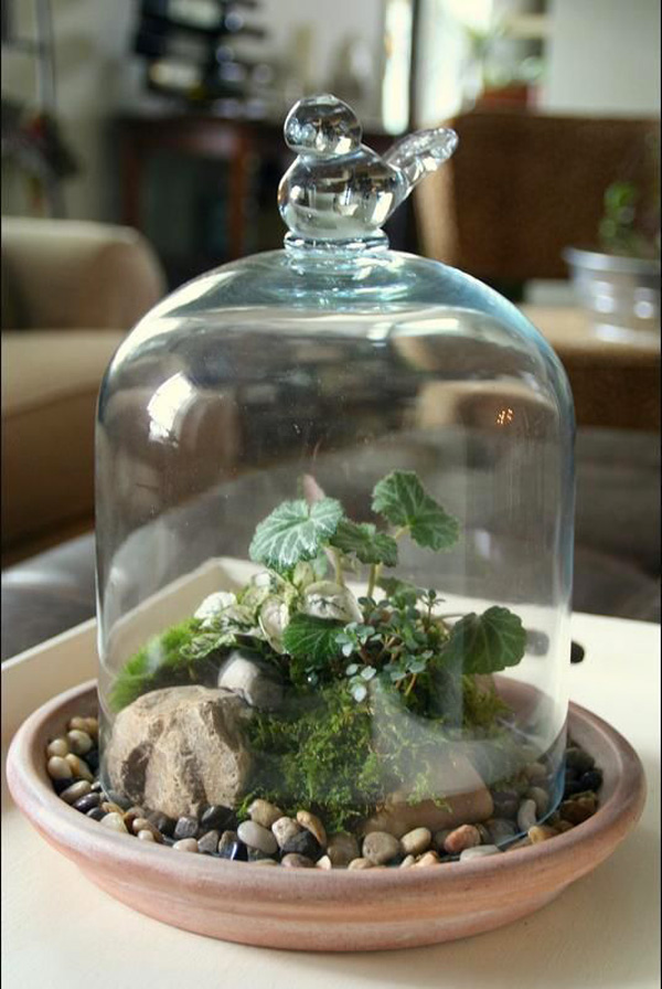 terranium-6