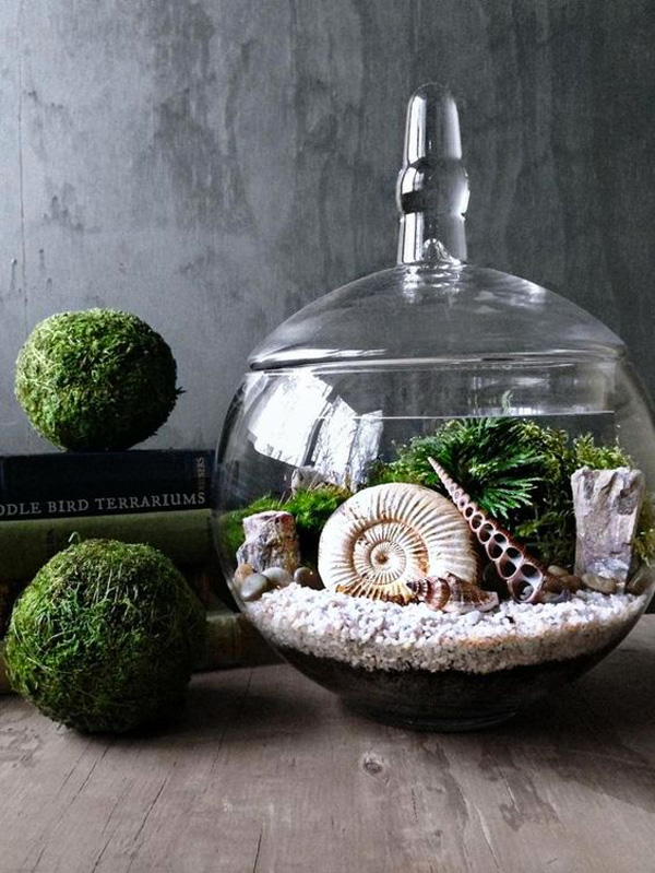 terranium-7