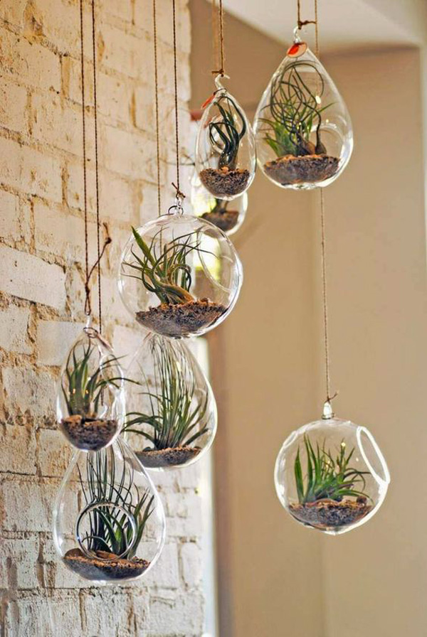 terranium-8
