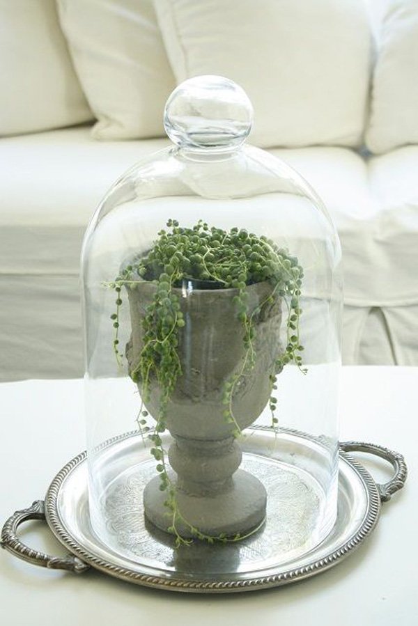 terrarium-1