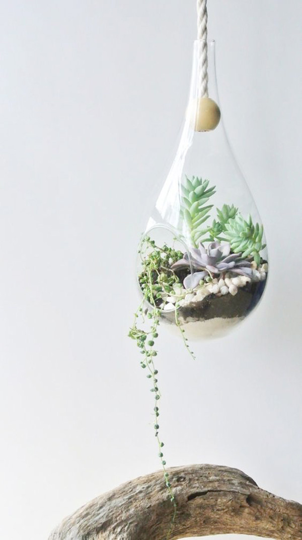 terrarium-10