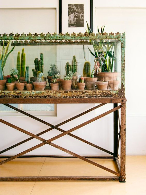 terrarium-4