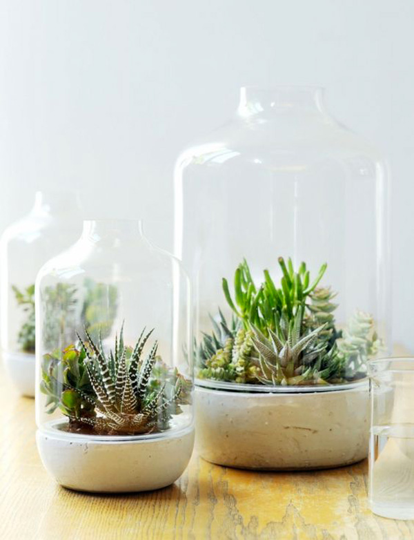 terrarium-9