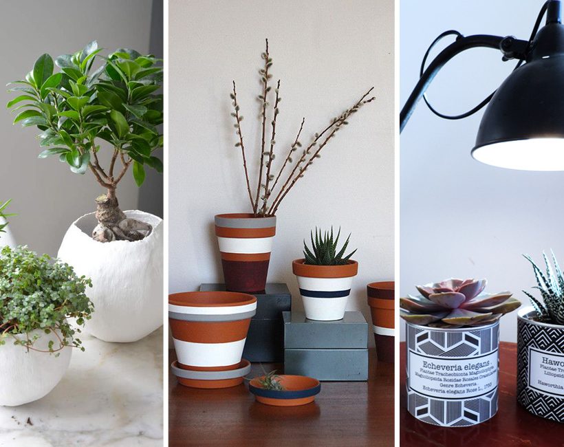 Des cache-pots personnalisés pour petites plantes d’intérieur