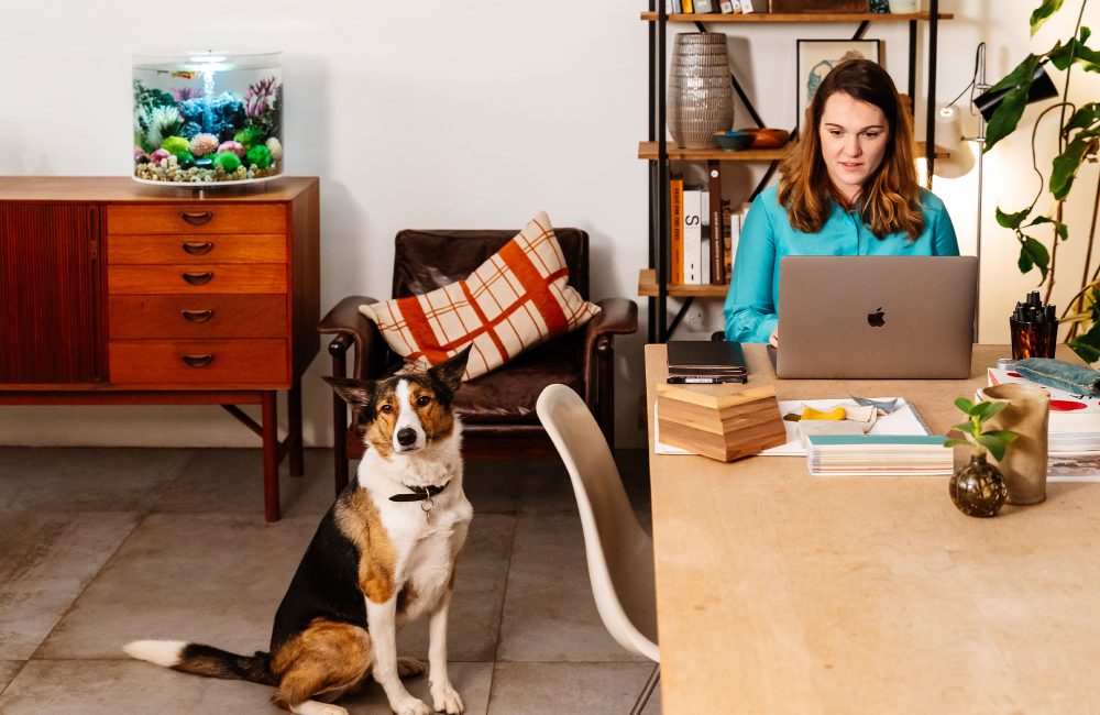 Aquariums biOrb by Oase : la touche zen à notre bureau