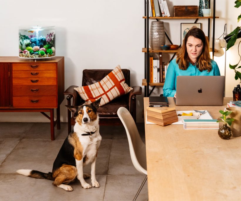 Aquariums biOrb by Oase : la touche zen à notre bureau