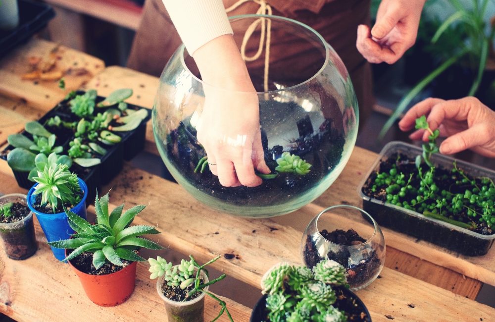 On a testé l’atelier terrarium chez Agave