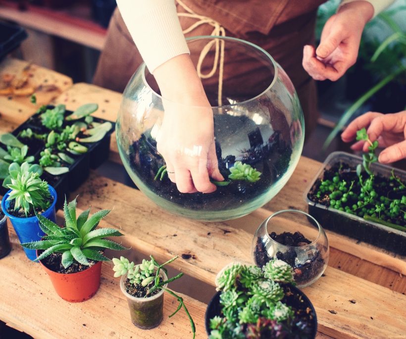 On a testé l’atelier terrarium chez Agave