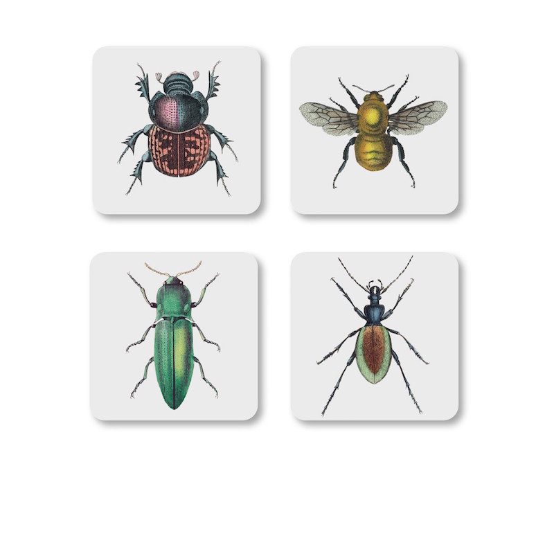 Set de 4 dessous de verre insectes