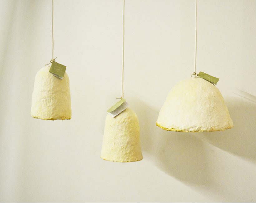 Caroline Pultz transforme les champignons en luminaires