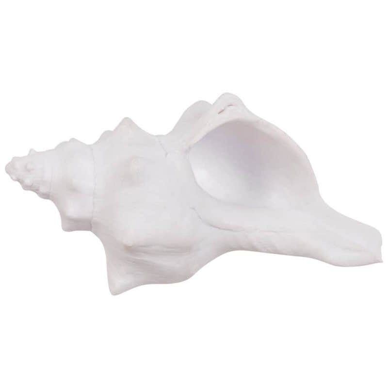 Statuette coquillage blanc 'Heaven'