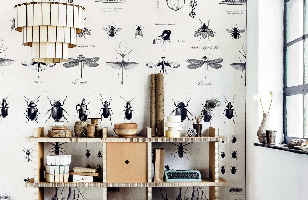 Tendance cabinet de curiosité : des insectes dans la déco