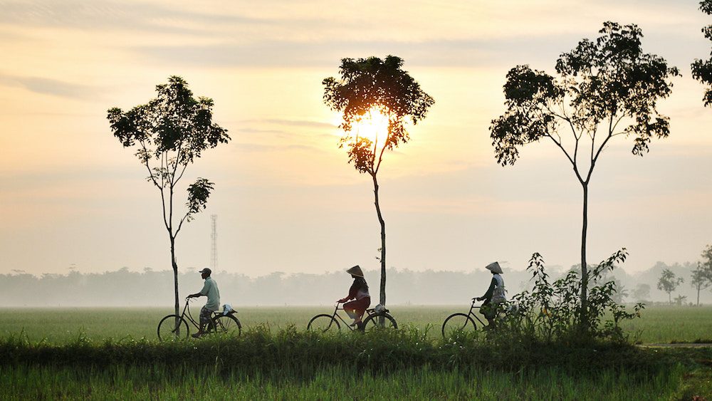 Destination Bali : une déco aux accents exotiques et distingués