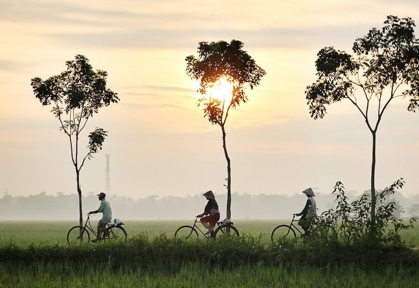 Destination Bali : une déco aux accents exotiques et distingués