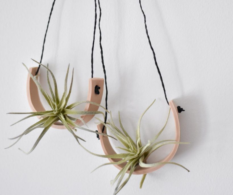 DIY: un décor mural pour air plants