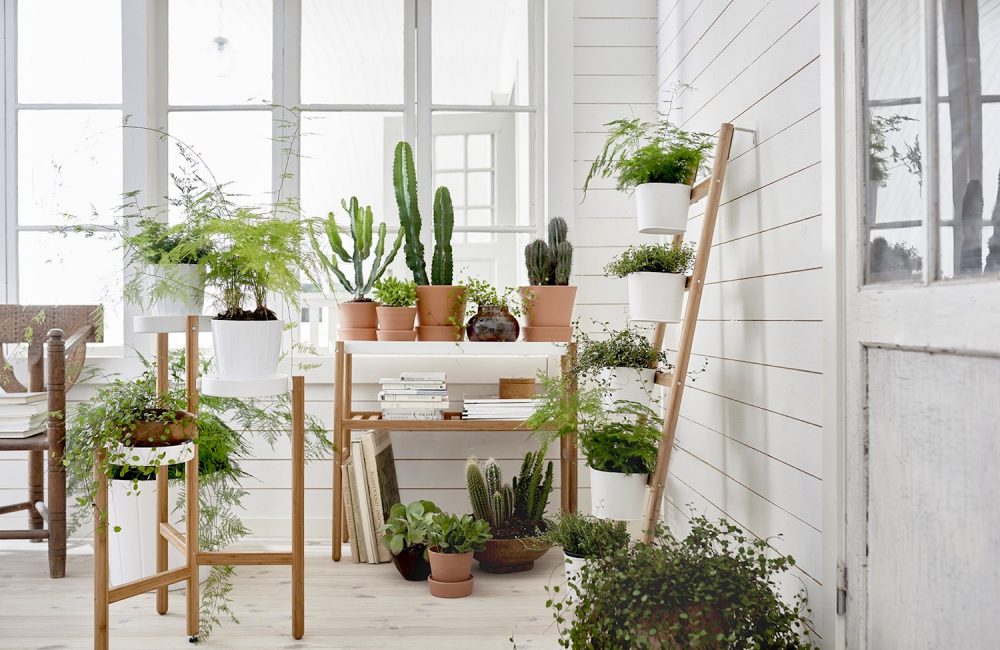 Où trouver une jardinière design pour notre intérieur ?