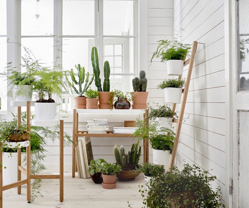 Où trouver une jardinière design pour notre intérieur ?