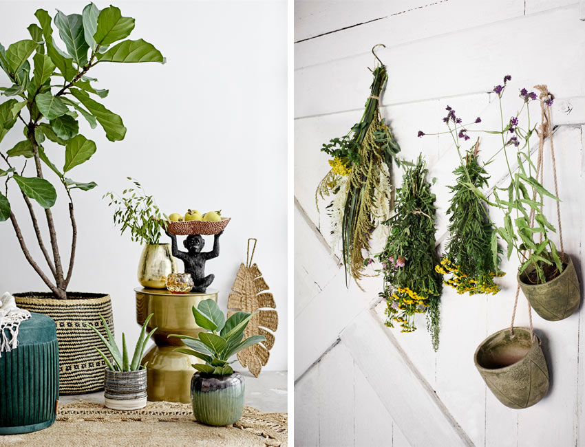 planten in huis