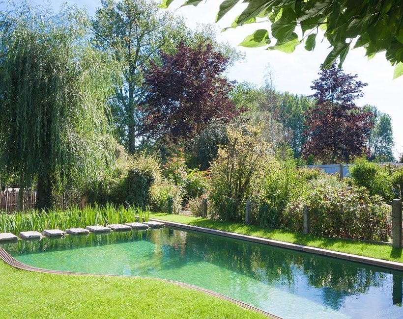 Tout savoir sur la piscine naturelle