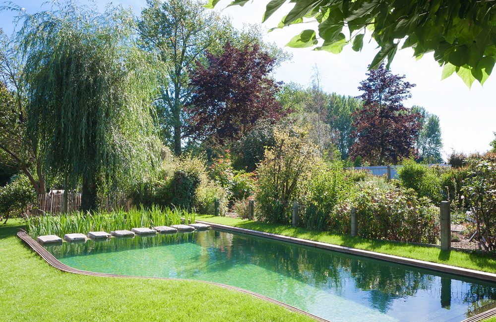 Tout savoir sur la piscine naturelle