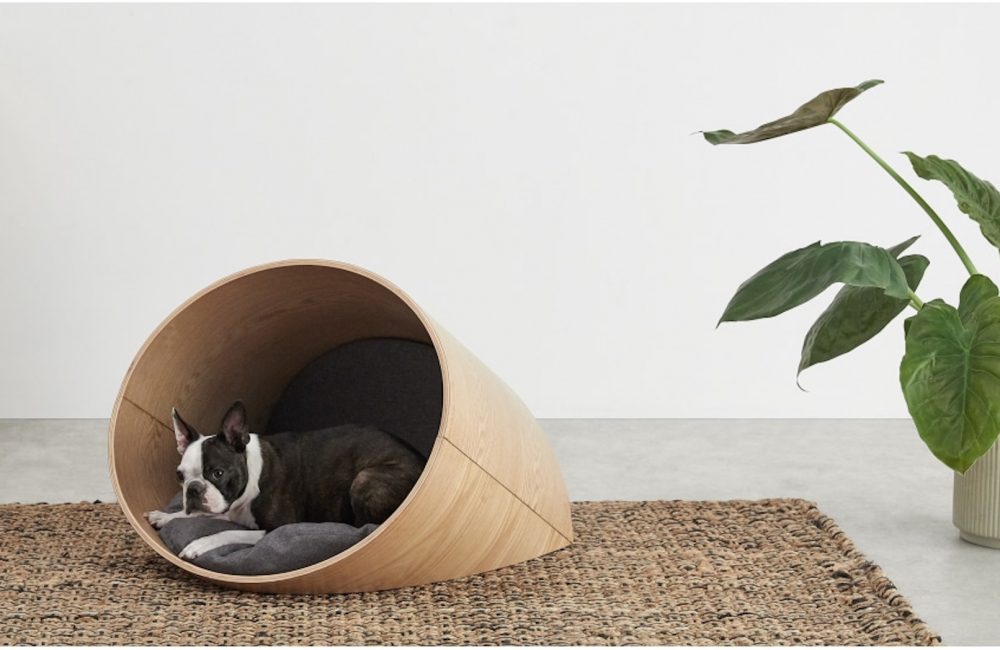 10 paniers design pour nos chiens et chats