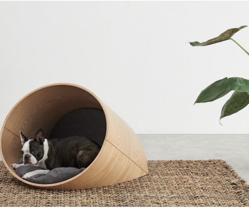 10 paniers design pour nos chiens et chats