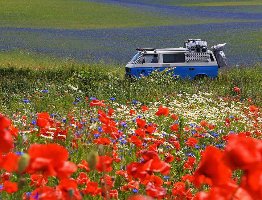 van evasion champs coquelicots 