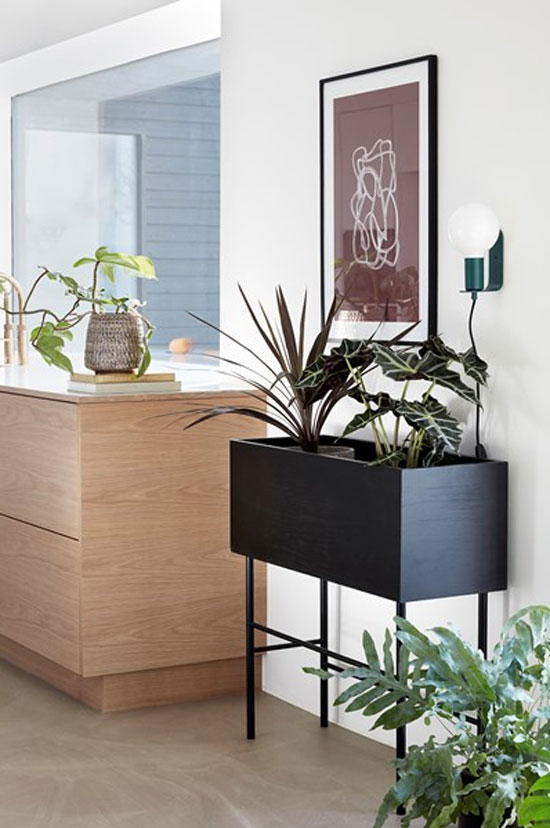 21 idées de Plantes et pots Interieur