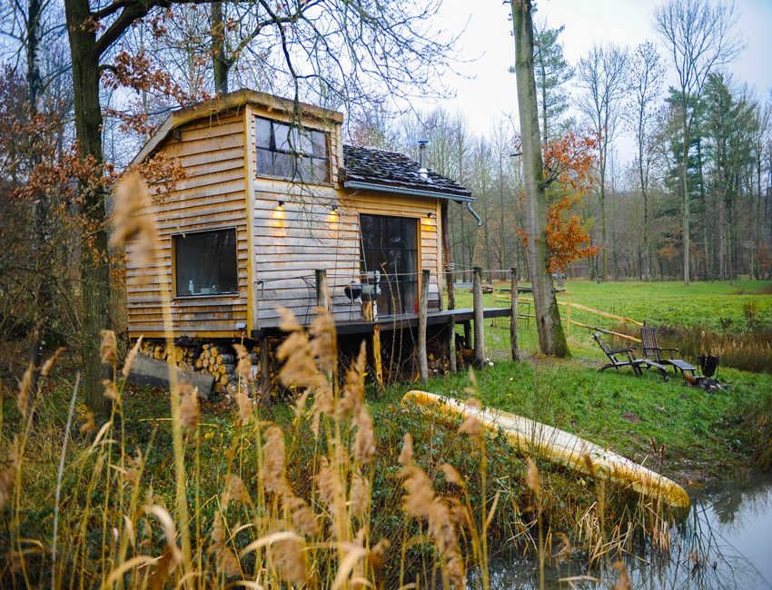 tiny house adresses the forest