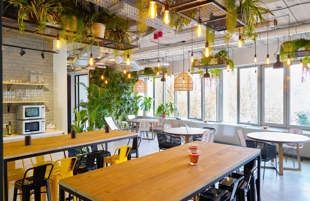 Hive5 lance un second espace de coworking dans un cadre de jungle urbaine