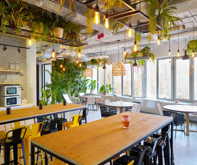 Hive5 lance un second espace de coworking dans un cadre de jungle urbaine