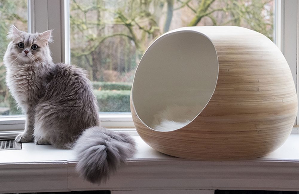 Dandy Cat: la marque design de mobiliers pour chats