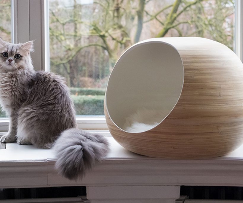 Dandy Cat: la marque design de mobiliers pour chats
