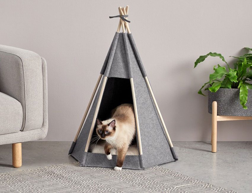 tipi chat