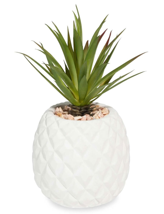 mdm plante ananas