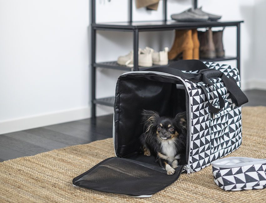 ikea sac de voyage chien 