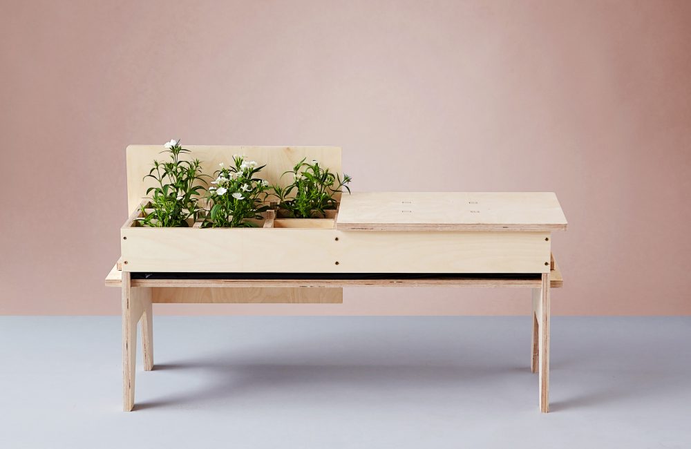 Plant Fever, quand les plantes se la jouent design