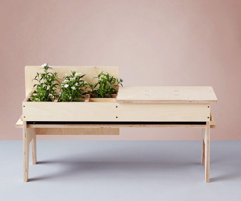 Plant Fever, quand les plantes se la jouent design