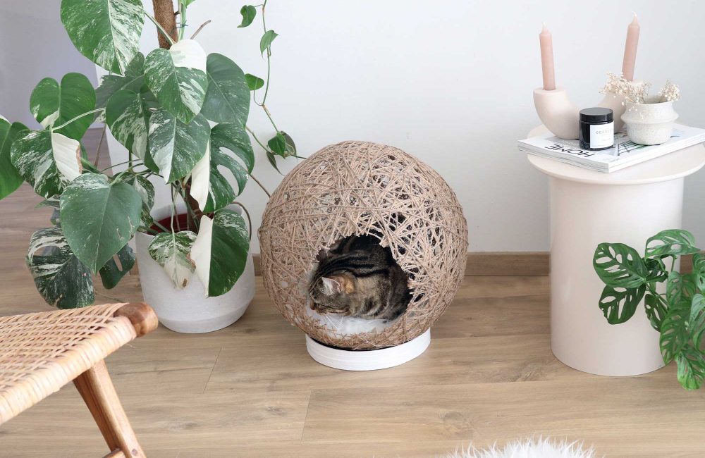 DIY : une petite maison pour notre chat de compagnie