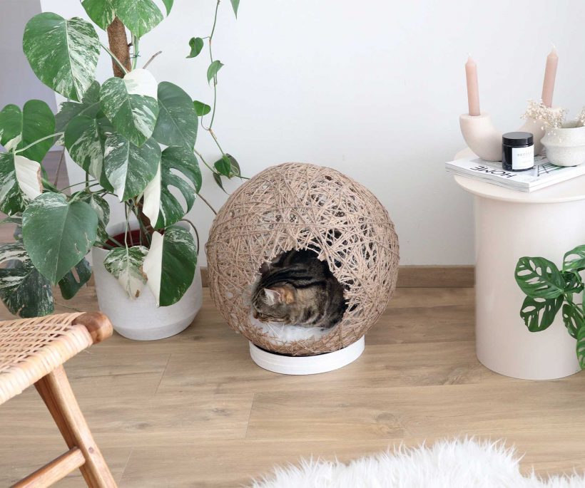 DIY : une petite maison pour notre chat de compagnie